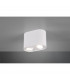 Cookie Modern 2 Light Surface Mounted Downlight White Matt-2
