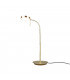 Monza Modern Desk Task Lamp Brass Matt 2300-3000-4000K-1