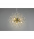 Gloria Modern 5 Light Pendant Ceiling Light Brass polished-4