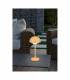 Elliot Modern Outdoor Portable Lamp Yellow 3000K IP44-6