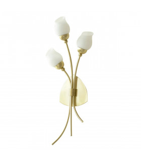 Clearance - Rimini Wall Lamp 3 Light G9 Satin Brass-1