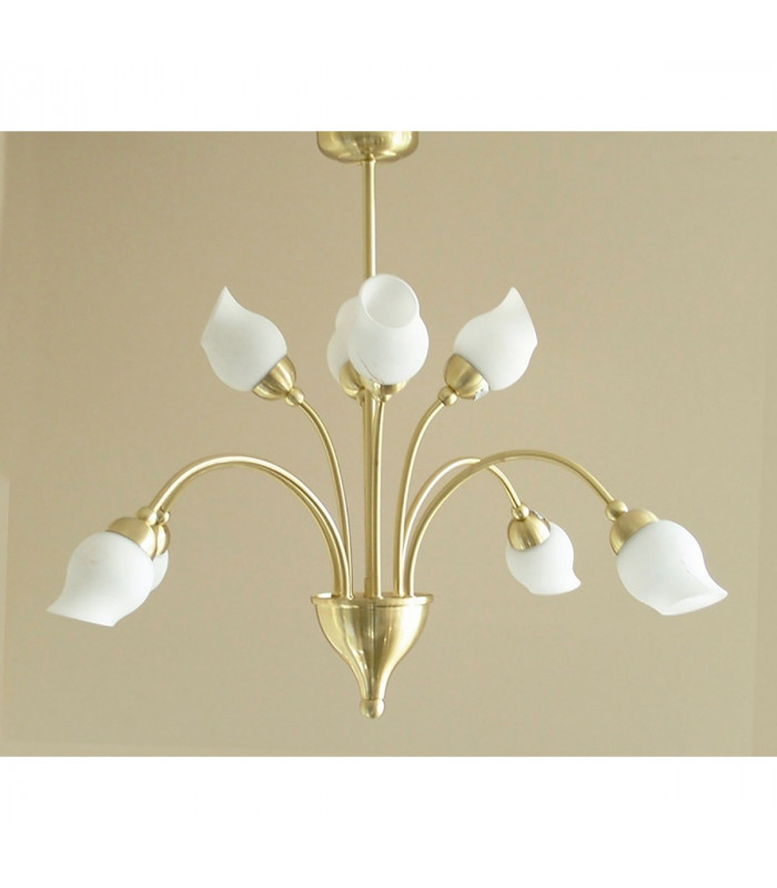 Clearance - Rimini Pendant 8 Light G9 Satin Brass-2
