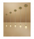 Clearance - Pietra Pendant G9 Antique Brass-2