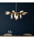 Trieste Multi Arm Pendant Ceiling Light Satin Brass Plate Clear Frosted Glass-4