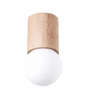 Boomo 23cm Modern Surface Mounted Downlight Wood 1x G9-1