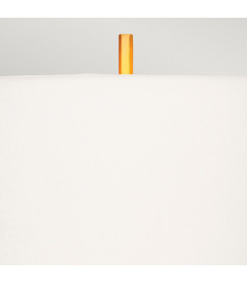 Apollo Table Lamp with Round Shade Brushed Brass-2