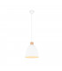 Jagger Modern 25cm Dome Pendant Ceiling Light White Matt-1
