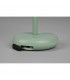 Elliot Modern Outdoor Portable Lamp Green 3000K IP44-4