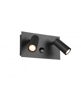 Tunga Modern 2 Light Outdoor Spotlight Anthracite 3000K IP54 with PIR-1