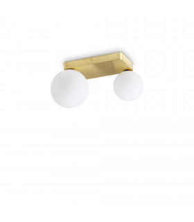 Penta 2 Light Globe Ceiling Light Brass
