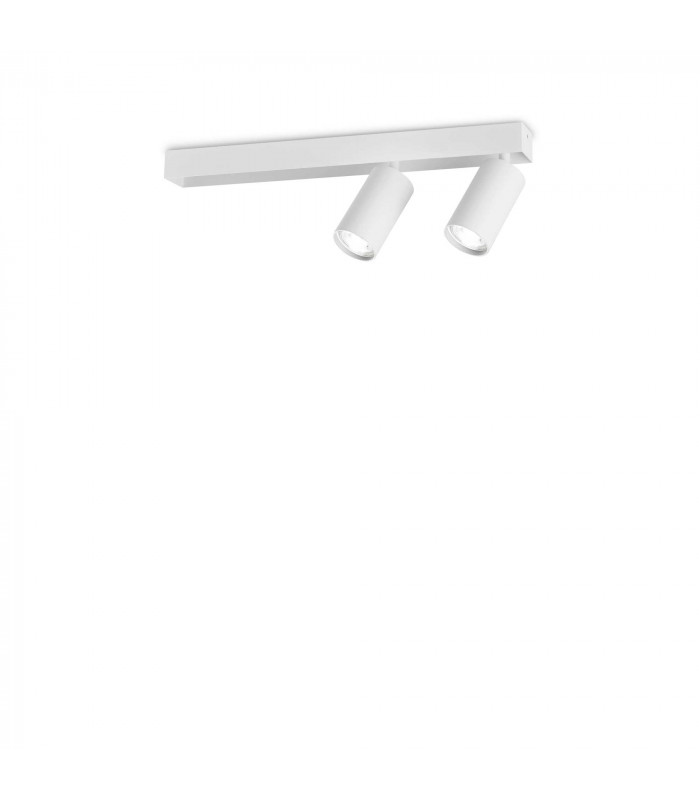 Profilo 2 Light Twin Ceiling Spotlight White