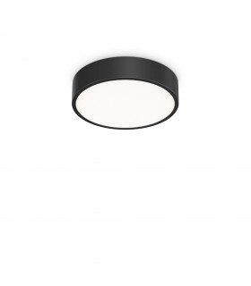 Ray Integrated LED Semi Flush Light Black 2000Lm 3000-4000K IP44