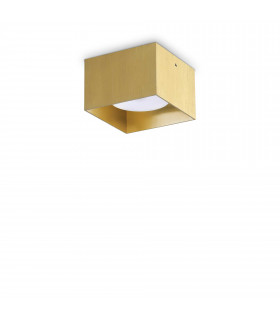 Spike Square Surface Mounted Downlight Brass