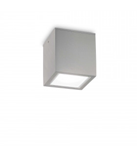 Techo Big Surface Mounted Downlight Grey IP54
