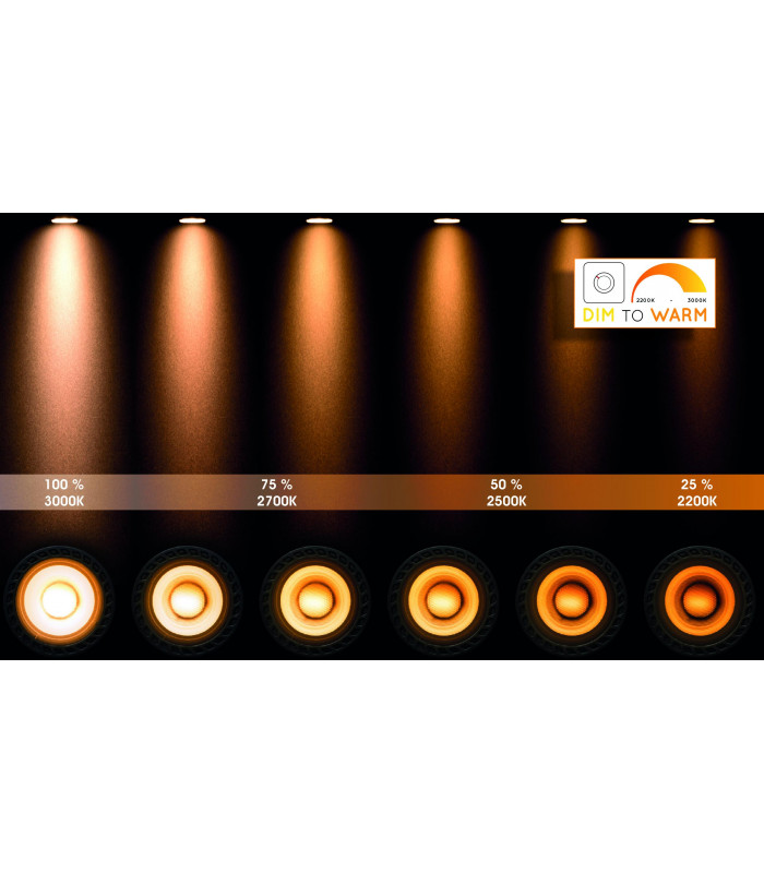 MR16 Bulb - 49009/05/31-5