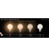 G80 Bulb - 49066/08/61-6