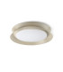 Tender Flush Ceiling Light Light Grey 2700K-1