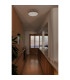 Tender Flush Ceiling Light Light Grey 2700K-3