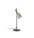 Studio Desk Task Lamp Matt Green-4