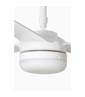 Light Kit White For Punt