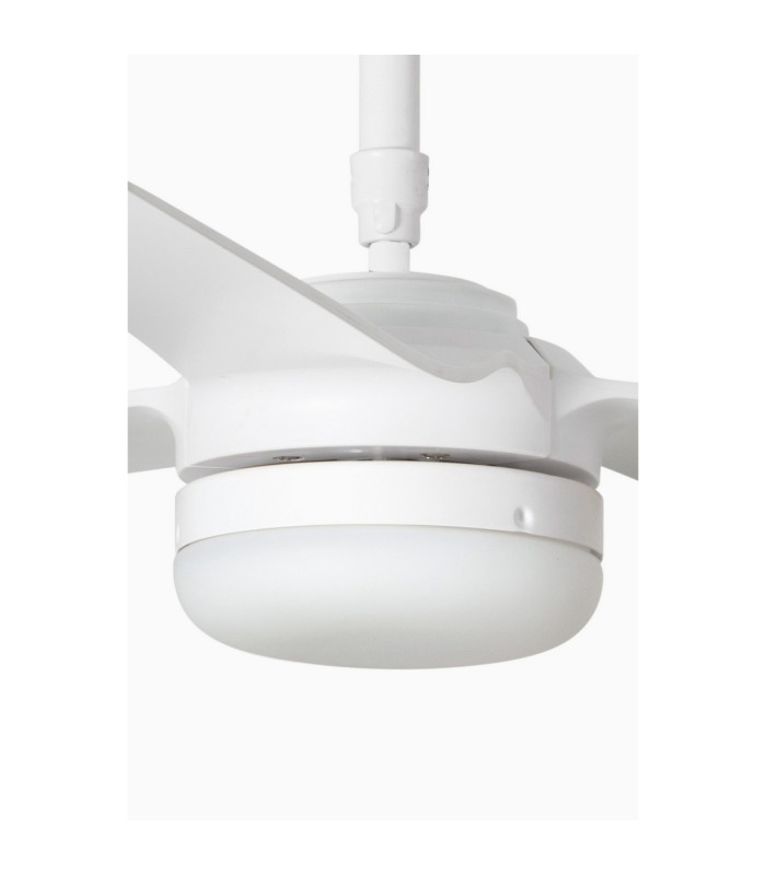 Light Kit White For Punt