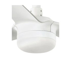 Light Kit White For Mini Punt Cct Dimable