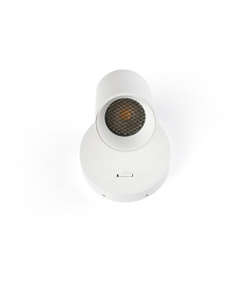 Stan Single Spotlight Matt White-2