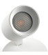 Stan Single Spotlight Matt White-4