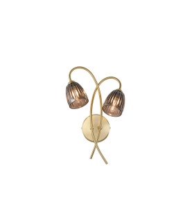 Connie Wall Light 2 Light G9 Satin Brass/Smoke Glass-1