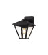 Luqi Downward Wall Lamp 1 x E27 IP44 Black/Clear Glass 2yrs Warranty-1
