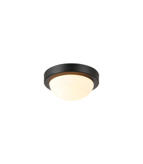 Porter IP44 1 Light E27 21cm Flush Ceiling Light Satin Black With Opal White Glass-1
