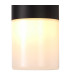 Prado Wall Lamp 2 x E27 IP44 Black/Opal 2yrs Warranty-6
