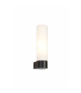 Tasso IP44 1 Light E14 Wall Lamp Satin Black With Opal Tubular Glass-1