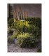 Akita 60cm Bollard 12W LED 3000K 880lm IP54 Sand Black 3yrs Warranty-3