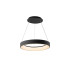 Niseko II Ring Pendant 38cm 30W LED 2700K-5000K Tuneable 2250lm Remote Control & APP Black 3yrs Warranty-1