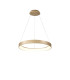 Niseko II Ring Pendant 50cm 40W LED 2700K-5000K Tuneable 2950lm Remote Control & APP Gold 3yrs Warranty-1