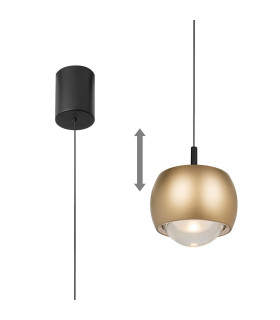 Roller Rise And Fall Pendant 12W LED 3000K 1000lm Gold/Black 3yrs Warranty-1