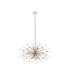 Noon Oval Pendant 12 Light E14 Polished Nickel/Clear Glass-1