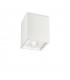 1 Light Square Surface Mounted Downlight White - 1