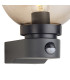 Milo Globe Wall Lamp With PIR Sensor 1 x E27 IP54 Corrosion Resistant Dark Grey/Smoke 2yrs Warranty-6