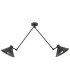 Altea Semi Flush Ceiling 2 Light Black Structure-1