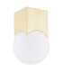 Austin Surface Mounted Downlight Opal Matt Brushed Brass-2