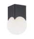 Austin Surface Mounted Downlight Opal Matt Black Matt-1