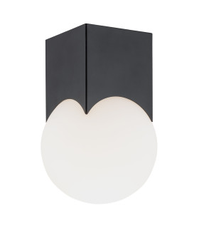 Austin Surface Mounted Downlight Opal Matt Black Matt-1