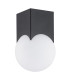 Austin Surface Mounted Downlight Opal Matt Black Matt-2