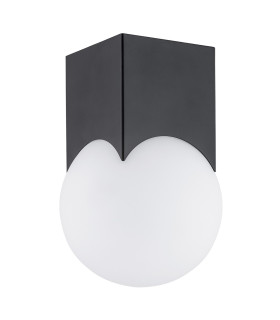 Austin Surface Mounted Downlight Opal Matt Black Matt-2