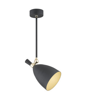 Charlotte Single Spotlight Black Structure Brass Elements-1