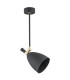 Charlotte Single Spotlight Black Structure Brass Elements-2