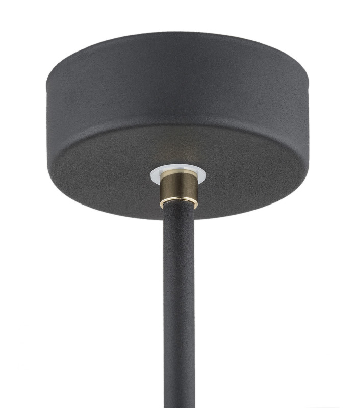 Charlotte Single Spotlight Black Structure Brass Elements-5