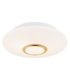 Chicago Flush Ceiling 2 Light Opal Matt Brass Elements-1
